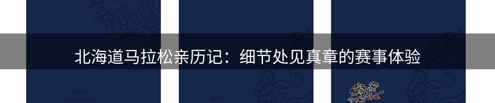 焦点评述