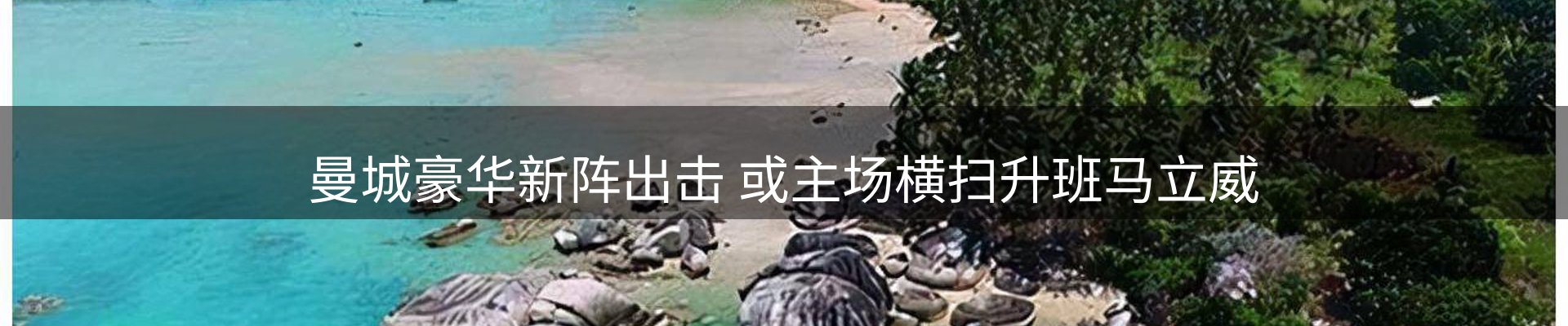 焦点评述